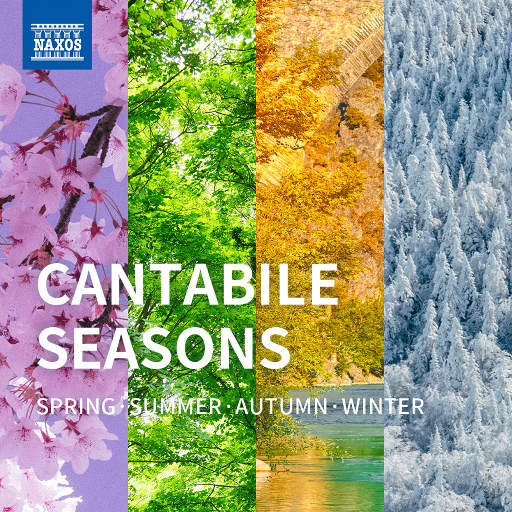 国产chase男男GayGay180
